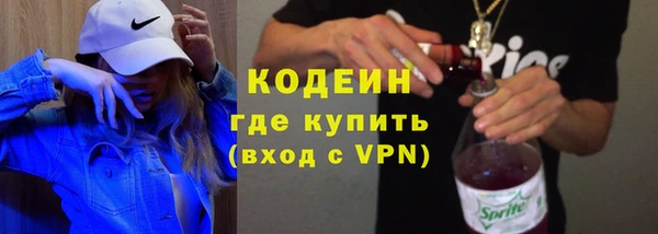 молекула духа Покров