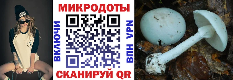 даркнет сайт  shop как зайти  Галлюциногенные грибы Psilocybine cubensis  Пошехонье 